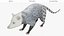 3D Opossum Eating Animated Rigged for Maya