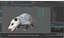 3D Opossum Eating Animated Rigged for Maya