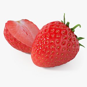Realistic Strawberry