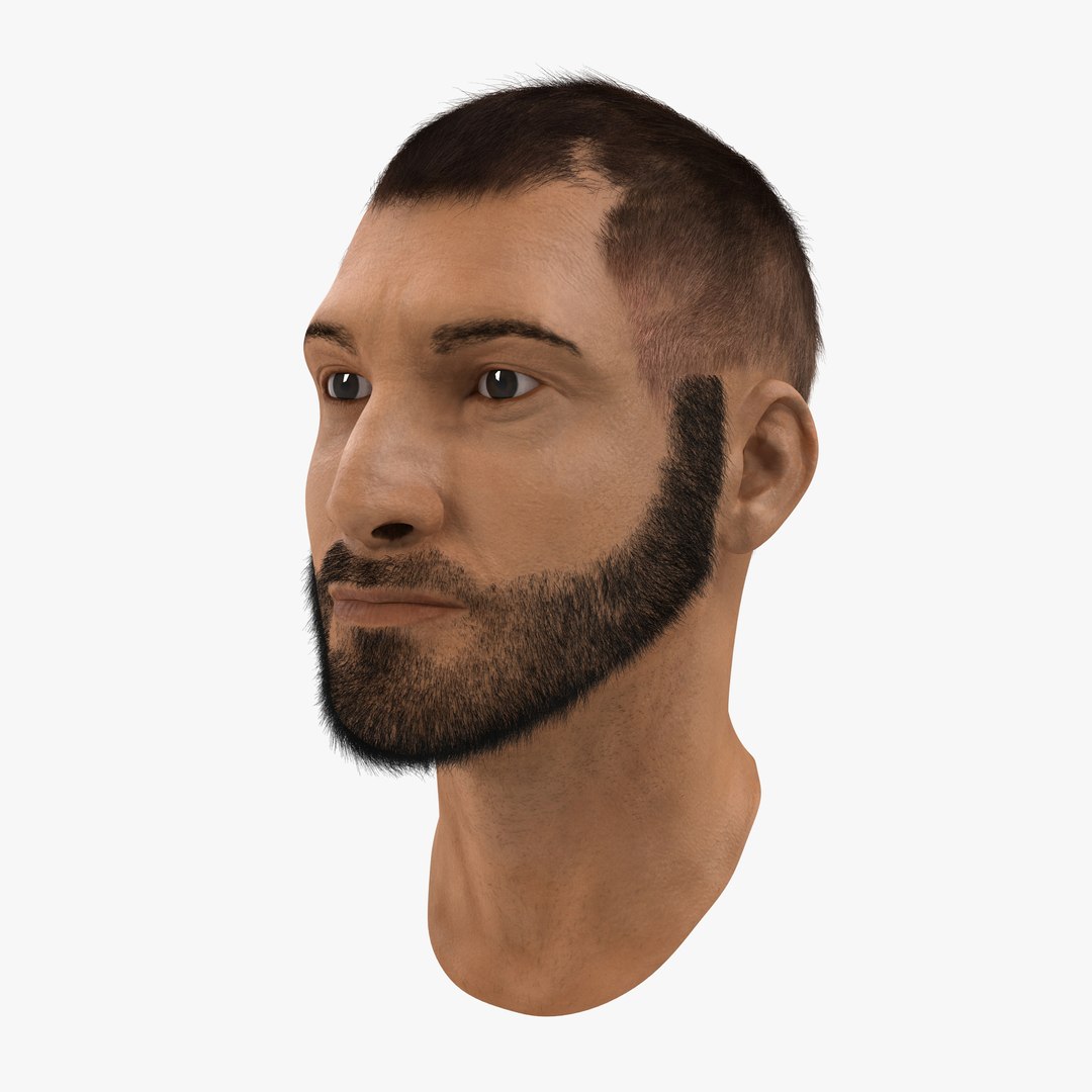 Male Head 7 with Fur 3D Model 3D model preview