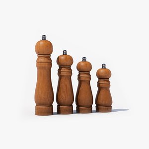 wood Salt Set 3D model