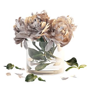 3D Bouquet of peonies in a glass vase 3D model
