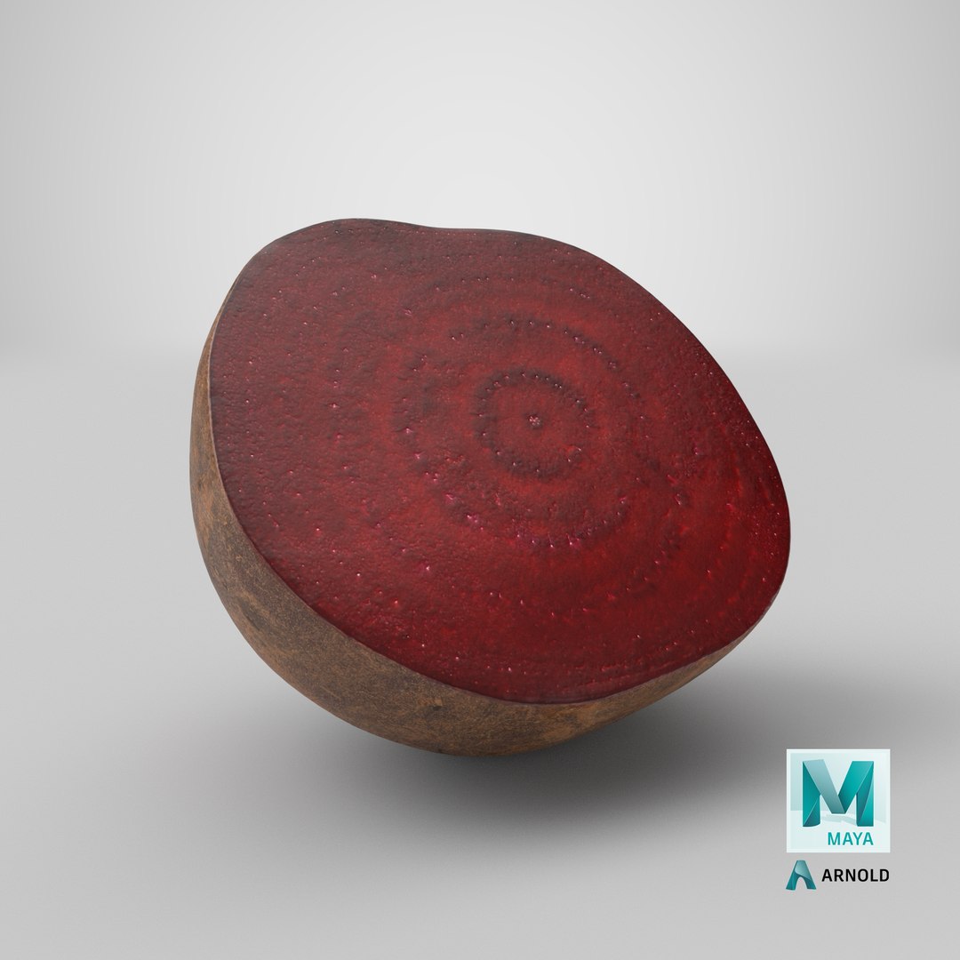 Beetroot Half 3D model https://p.turbosquid.com/ts-thumb/D1/jZtNMP/6z/stemcell_maya_arnold_render/png/1653132740/1920x1080/fit_q87/4f270927b3685d0acf5a161476127a1f624a4aa0/stemcell_maya_arnold_render.jpg