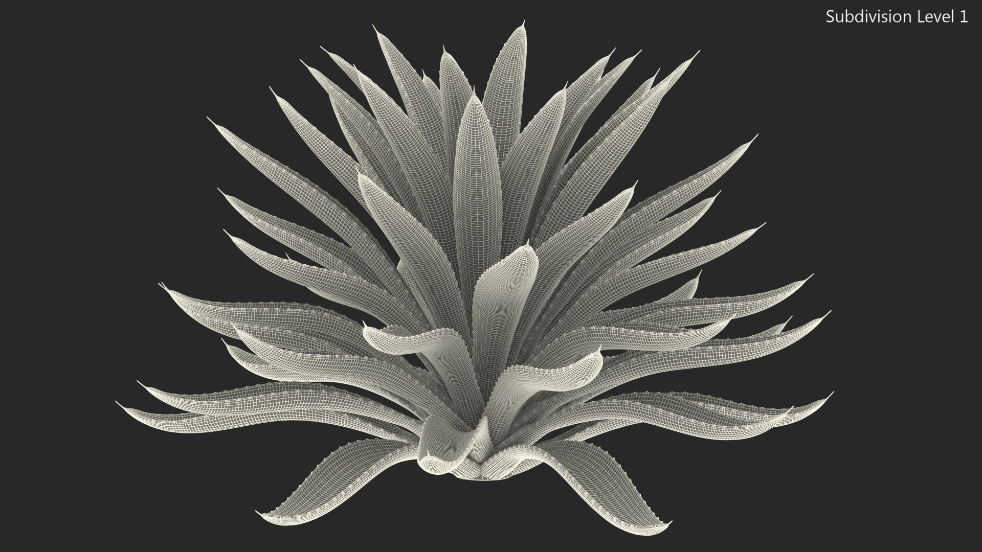big agave tequilana blue 3D model https://p.turbosquid.com/ts-thumb/D1/nRtON9/5PNeLdHg/bigagavetequilanablueagaveplant3dsmodel012/jpg/1583952216/1920x1080/fit_q87/37272c8a6e4842a2bb6296891618e0989fc8edb8/bigagavetequilanablueagaveplant3dsmodel012.jpg