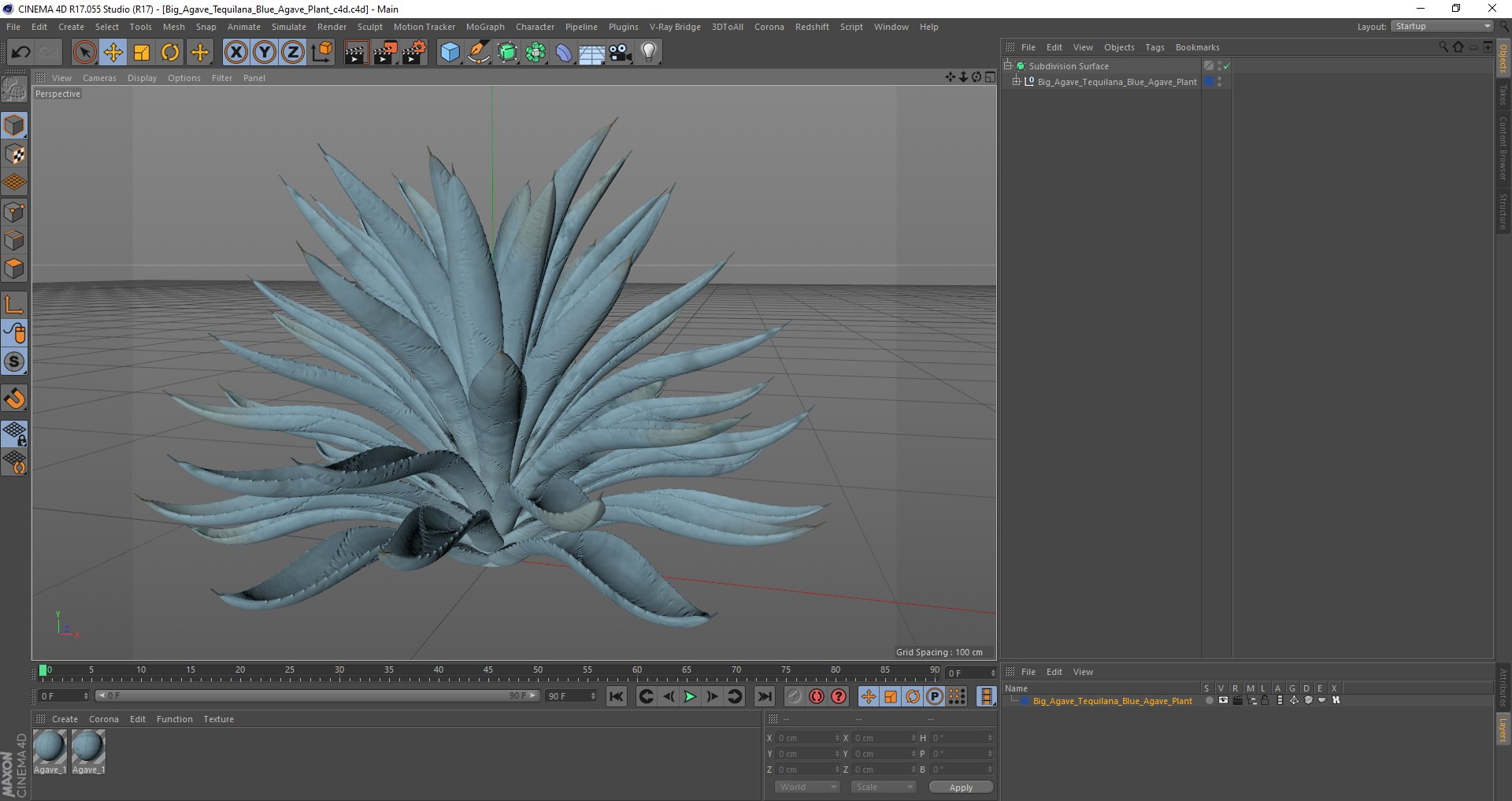 big agave tequilana blue 3D model https://p.turbosquid.com/ts-thumb/D1/nRtON9/TxQTj4V7/bigagavetequilanablueagaveplant3dsmodel015/jpg/1583952229/1920x1080/fit_q87/c264987d077a3a681778316eb99d93f43619e134/bigagavetequilanablueagaveplant3dsmodel015.jpg