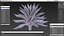 Planta Big Agave Tequilana Blue Agave