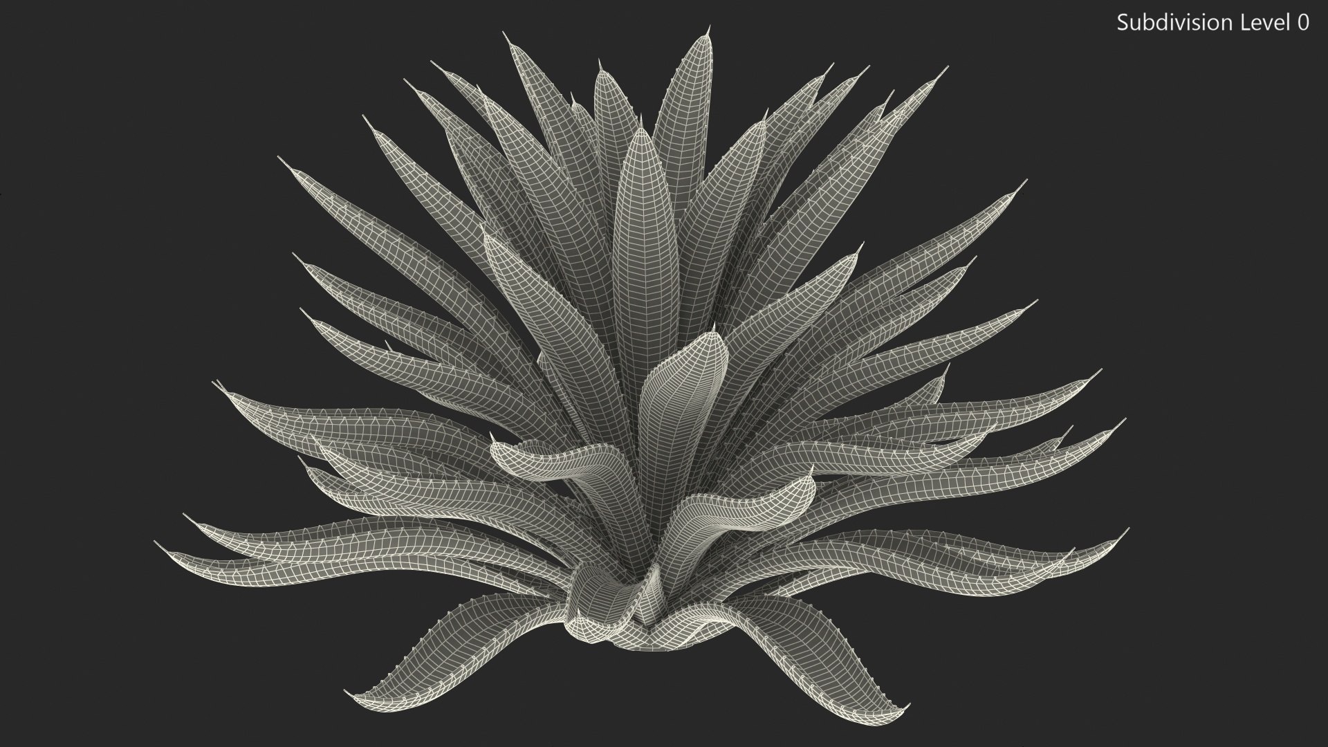 big agave tequilana blue 3D model https://p.turbosquid.com/ts-thumb/D1/nRtON9/mjWcuuom/bigagavetequilanablueagaveplant3dsmodel011/jpg/1583952213/1920x1080/fit_q87/030f728b108cb2a72125383c9ffda6ac80347e34/bigagavetequilanablueagaveplant3dsmodel011.jpg