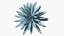 Planta Big Agave Tequilana Blue Agave