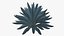 Planta Big Agave Tequilana Blue Agave