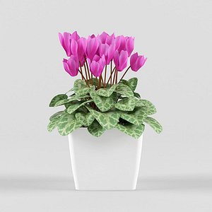 3d model of flower pot