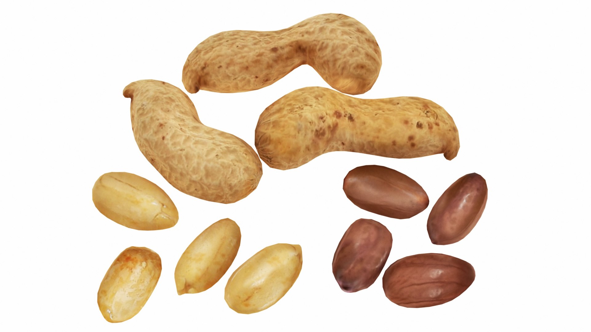 3D model nut https://p.turbosquid.com/ts-thumb/D2/2vf32A/1gLsgUSn/0peanut1/jpg/1588951927/1920x1080/fit_q87/ac41e04bac302aa97a0096e0b7fd8f497158afb9/0peanut1.jpg