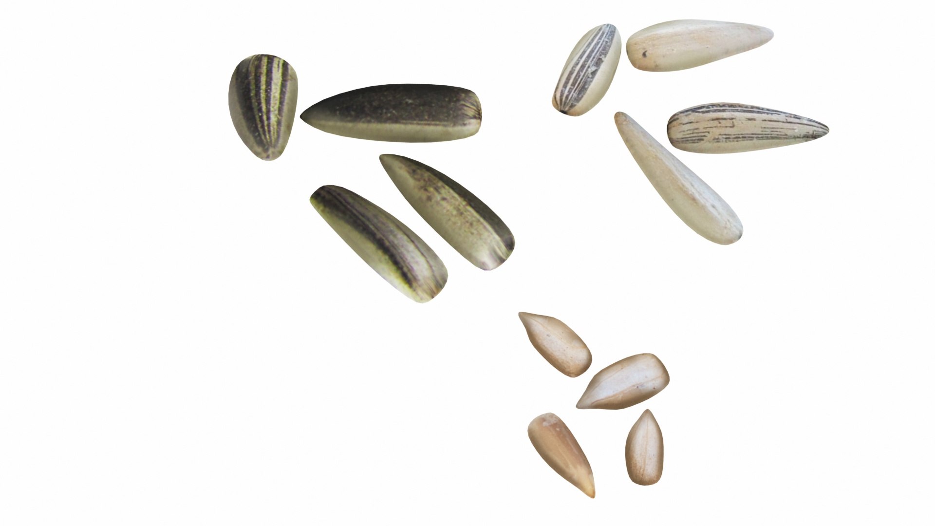 3D model nut https://p.turbosquid.com/ts-thumb/D2/2vf32A/EiNC2889/0sunflowerseeds1/jpg/1588951927/1920x1080/fit_q87/bc62608a1646c93e797f4e11ce9a3d36cfb0720e/0sunflowerseeds1.jpg