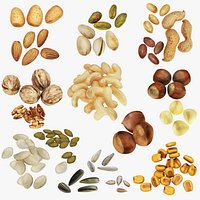 Nut Collection