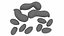 Nut Collection