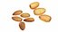 Nut Collection