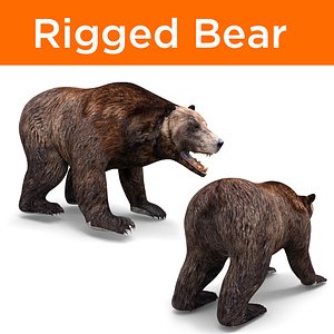 3D bear rigged model