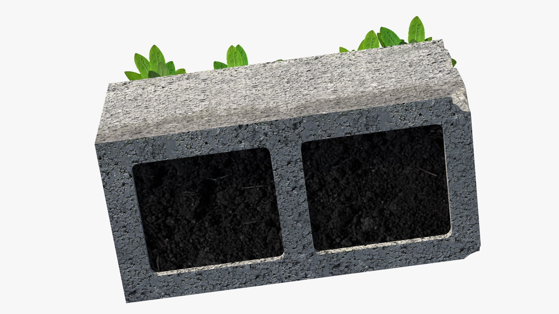 Cinder Block with Greenery model https://p.turbosquid.com/ts-thumb/D2/J8cOoi/81/cinder_block_with_greenery_013/jpg/1734827389/1920x1080/fit_q87/96de753859da4e0330fd5f7044714211b8318d0d/cinder_block_with_greenery_013.jpg