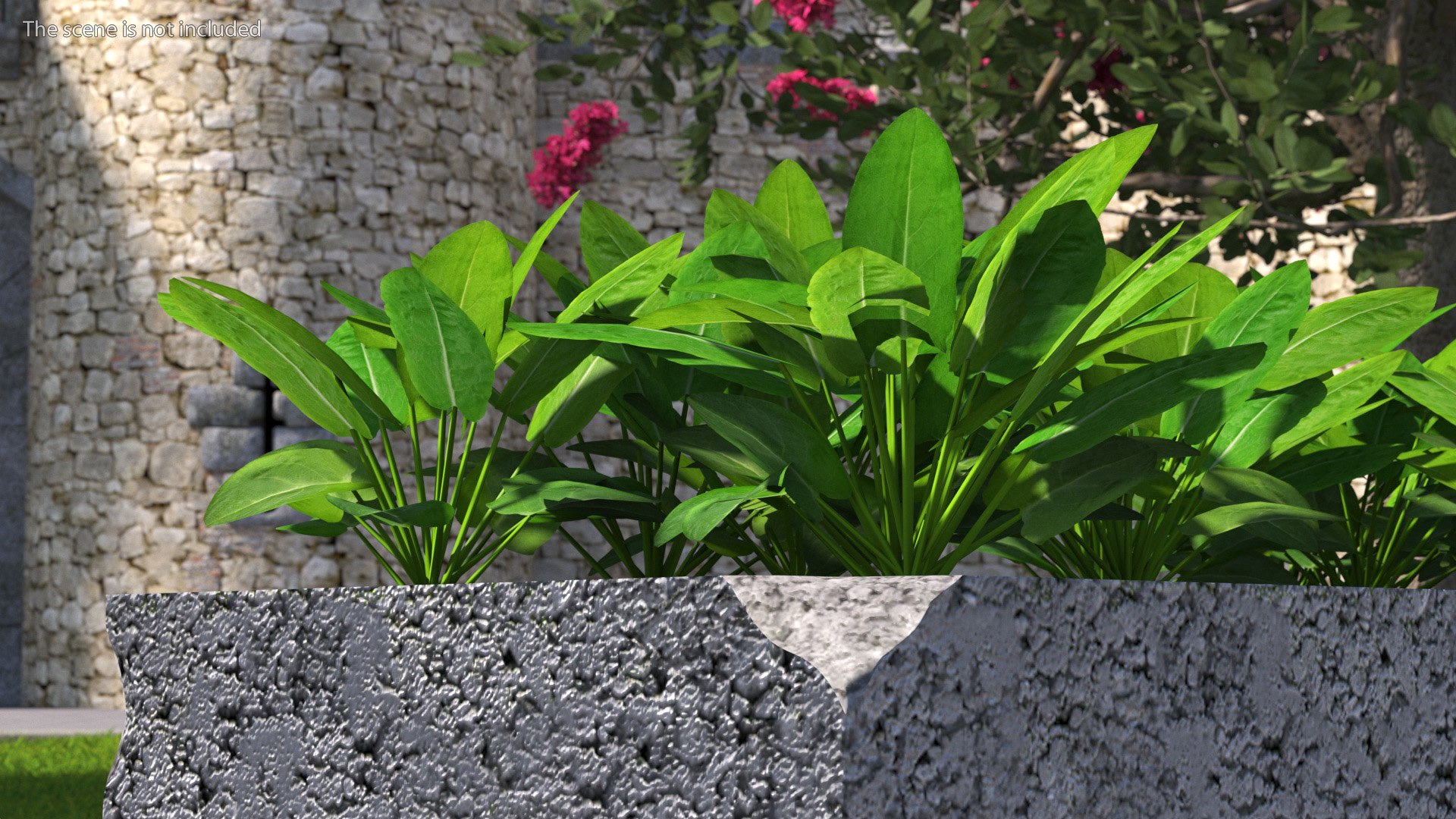 Cinder Block with Greenery model https://p.turbosquid.com/ts-thumb/D2/J8cOoi/A2/cinder_block_with_greenery_005/jpg/1734827358/1920x1080/fit_q87/5d65a90203900d0fc9e8c073fe53763723b4f4dd/cinder_block_with_greenery_005.jpg