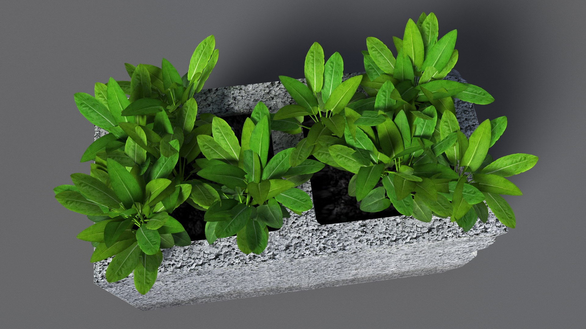 Cinder Block with Greenery model https://p.turbosquid.com/ts-thumb/D2/J8cOoi/HM/cinder_block_with_greenery_007/jpg/1734827366/1920x1080/fit_q87/be50d4ae7c7a33d82789e927e7a91417d0ceda12/cinder_block_with_greenery_007.jpg