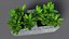 Cinder Block with Greenery
