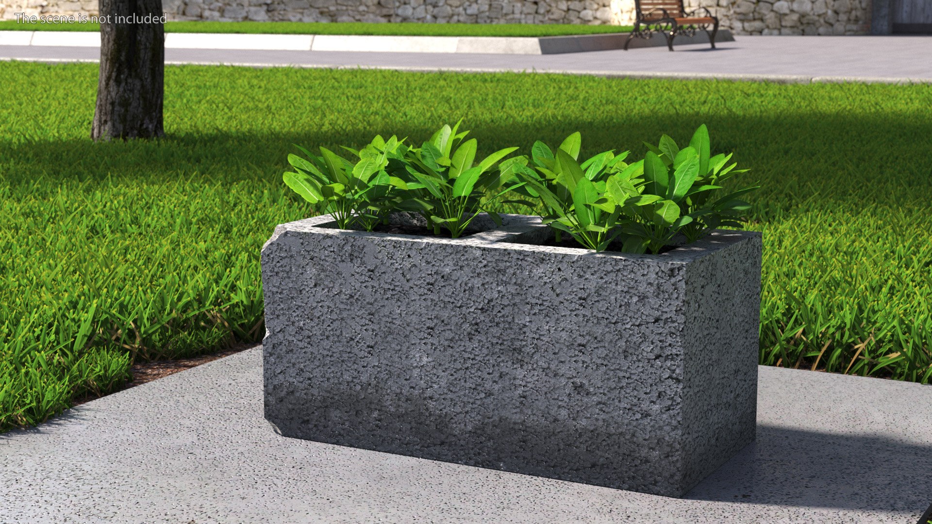 Cinder Block with Greenery model https://p.turbosquid.com/ts-thumb/D2/J8cOoi/P4/cinder_block_with_greenery_003/jpg/1734827348/1920x1080/fit_q87/6dafc4b0ca89d85ffed0d6fee30a58683dcd8612/cinder_block_with_greenery_003.jpg
