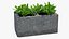 Cinder Block with Greenery