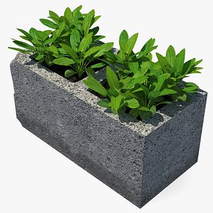 Cinder Block with Greenery