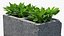 Cinder Block with Greenery