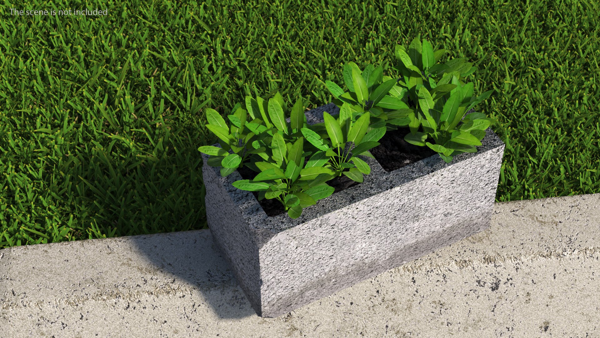 Cinder Block with Greenery model https://p.turbosquid.com/ts-thumb/D2/J8cOoi/WW/cinder_block_with_greenery_004/jpg/1734827353/1920x1080/fit_q87/721408e00c7d83b3804b8ae6daccf4d9dde3448c/cinder_block_with_greenery_004.jpg