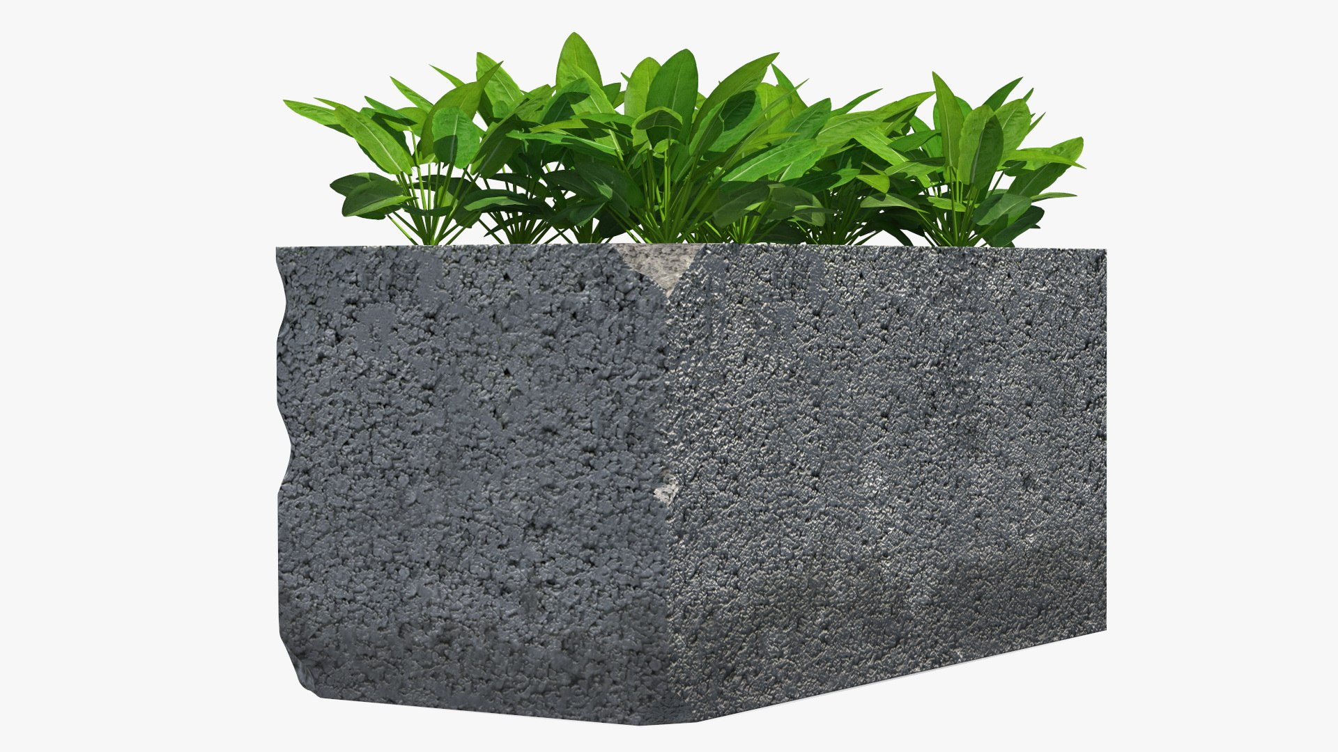 Cinder Block with Greenery model https://p.turbosquid.com/ts-thumb/D2/J8cOoi/cs/cinder_block_with_greenery_010/jpg/1734827378/1920x1080/fit_q87/70387422911d651632049fa296bba2230a3fe8b7/cinder_block_with_greenery_010.jpg