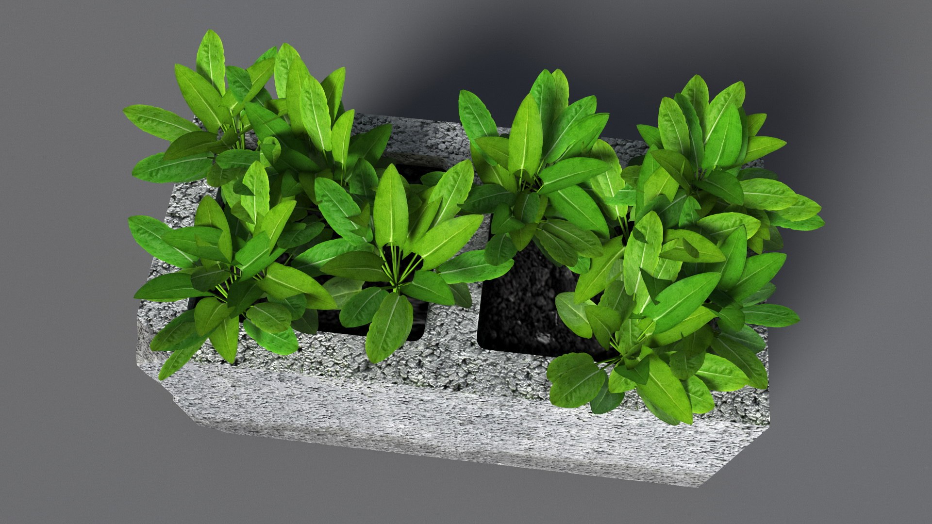 Cinder Block with Greenery model https://p.turbosquid.com/ts-thumb/D2/J8cOoi/jn/cinder_block_with_greenery_008/jpg/1734827371/1920x1080/fit_q87/9a672dbdee2aa0609b512b8dbc7dc852cc76f1e2/cinder_block_with_greenery_008.jpg