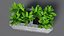 Cinder Block with Greenery