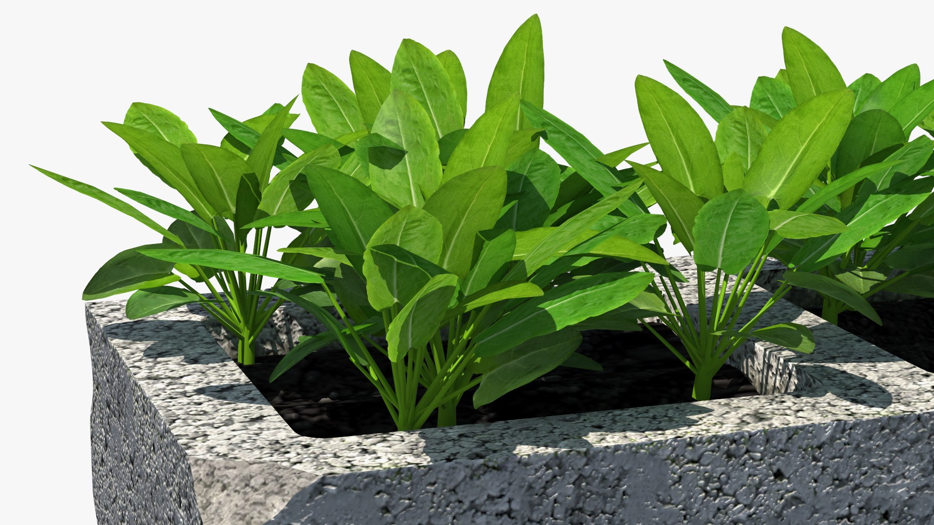 Cinder Block with Greenery model https://p.turbosquid.com/ts-thumb/D2/J8cOoi/u6/cinder_block_with_greenery_012/jpg/1734827385/1920x1080/fit_q87/746680ea925a6ab97bd16a208d758482ae7e1f0e/cinder_block_with_greenery_012.jpg