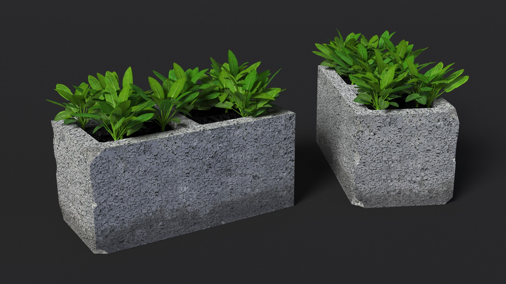 Cinder Block with Greenery model https://p.turbosquid.com/ts-thumb/D2/J8cOoi/vW/cinder_block_with_greenery_006/jpg/1734827363/1920x1080/fit_q87/f3fe2572b549e6c196688d417ab4ca4744b4c1b6/cinder_block_with_greenery_006.jpg