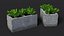 Cinder Block with Greenery