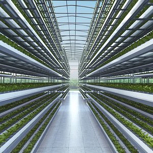 3D model Hydroponics Vertical Farm 06