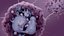 Basophil White Cell