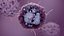 Basophil White Cell