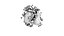 Basophil White Cell