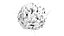 Basophil White Cell