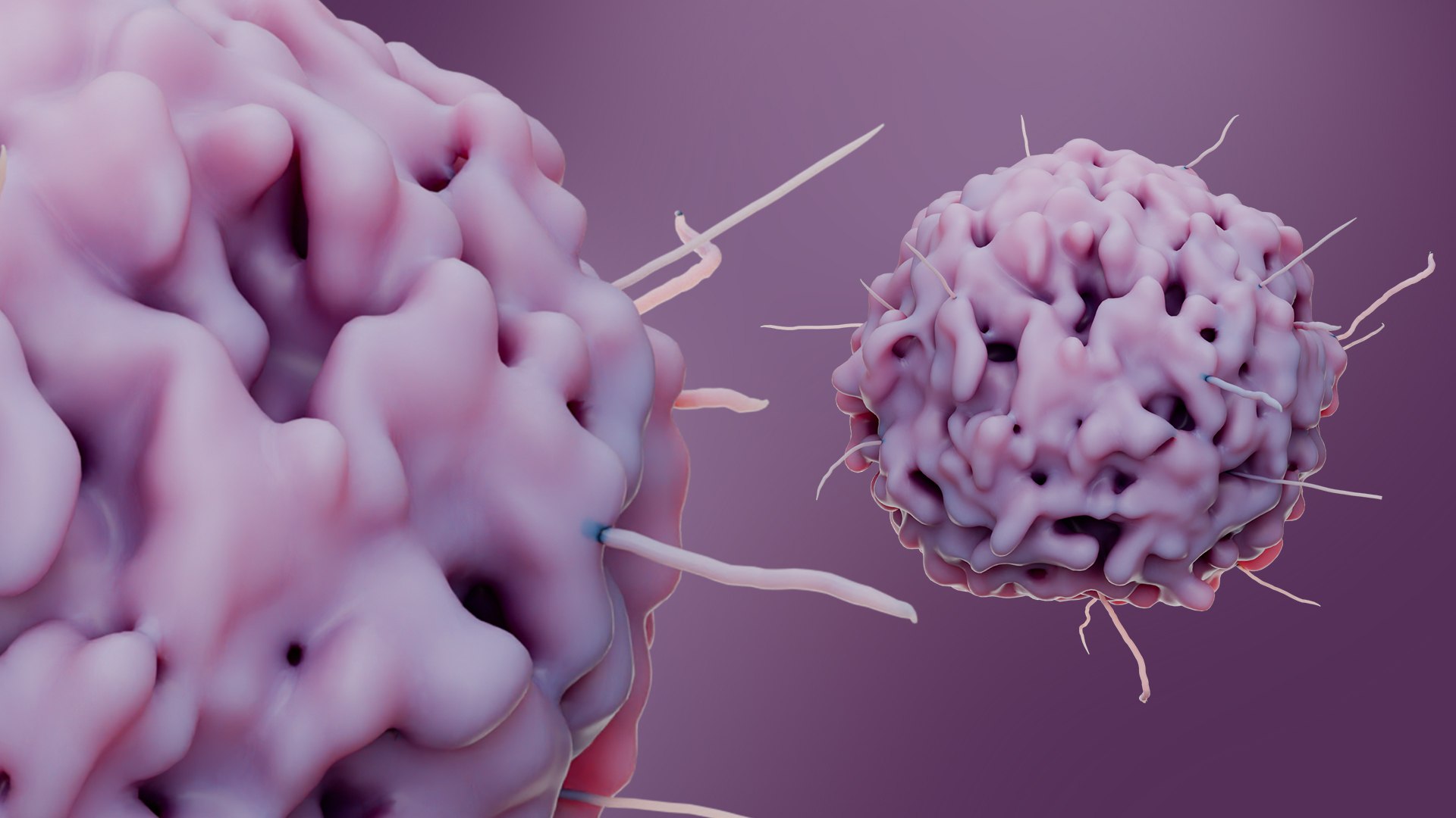 Basophil White Cell model https://p.turbosquid.com/ts-thumb/D2/Lzgwxq/aN/basophil_sampleimae3/jpg/1737755269/1920x1080/fit_q87/2317f7a8f9084f5151e688a6c2a1d69c2859b235/basophil_sampleimae3.jpg