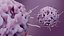 Basophil White Cell