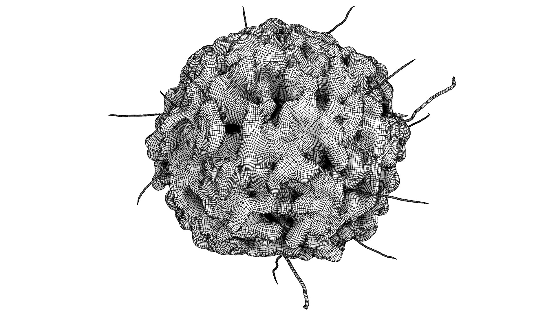Basophil White Cell model https://p.turbosquid.com/ts-thumb/D2/Lzgwxq/vq/basophil_wireframe/jpg/1737755275/1920x1080/fit_q87/ab368958c93ed5b5cc77f944d25006807a98c131/basophil_wireframe.jpg