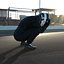 Base Racing Driver 2025 Rigged