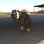 Base Racing Driver 2025 Rigged