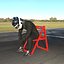 Base Racing Driver 2025 Rigged
