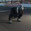 Base Racing Driver 2025 Rigged