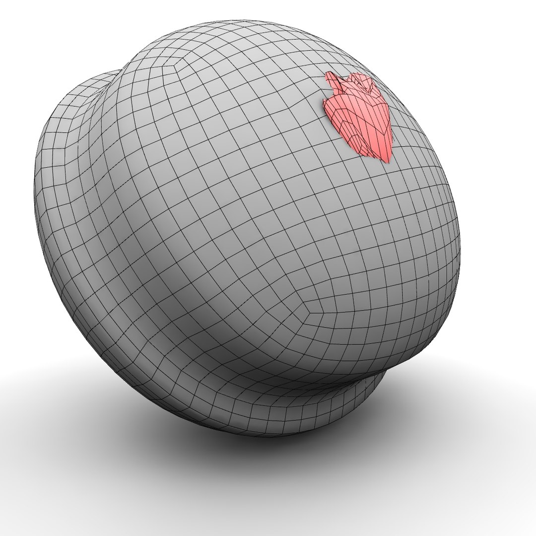doughnut obj https://p.turbosquid.com/ts-thumb/D2/iTBG2R/5PbpNtHn/doughnutwire__003/jpg/1385585547/1920x1080/fit_q87/4fb1b86e825e12a8838709731adf02f2b6f51533/doughnutwire__003.jpg