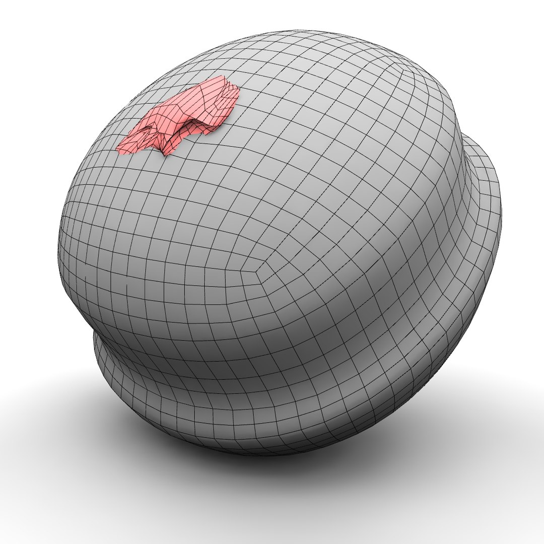 doughnut obj https://p.turbosquid.com/ts-thumb/D2/iTBG2R/vvxV5tFn/doughnutwire__001/jpg/1385585547/1920x1080/fit_q87/7e3e9f959bf96a393749b9e3495a16bcd8c36795/doughnutwire__001.jpg