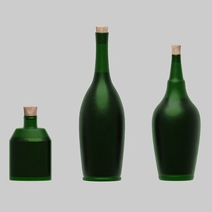 Glass Bottle Wood Lid 3D model